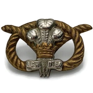 VICTORIAN North Staffordshire Regiment Collar Badge