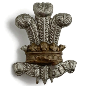 WW1 Leinster Regiment Irish Collar Badge