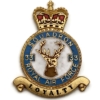 33 Squadron Royal Air Force PLAQUE Badge RAF