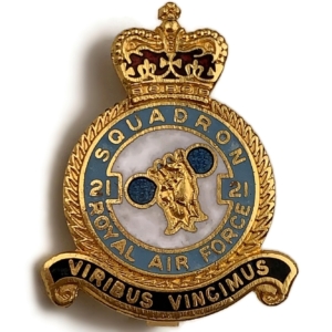 21 Squadron Royal Air Force RAF Lapel Badge