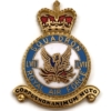 57 LVII Squadron Royal Air Force PLAQUE Badge RAF