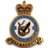 6 Squadron Royal Air Force PLAQUE Badge RAF