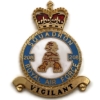 208 Squadron Royal Air Force PLAQUE Badge RAF